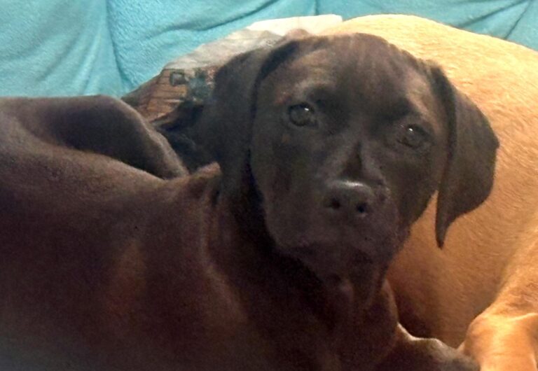 multimedia-foto93645-613-1