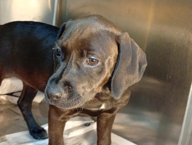 multimedia-foto93647-614-1