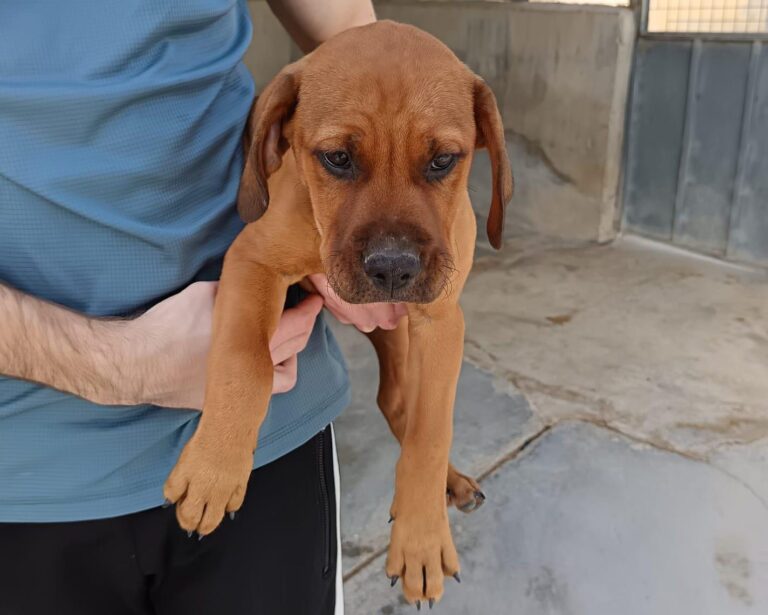 multimedia-foto93649-694-1