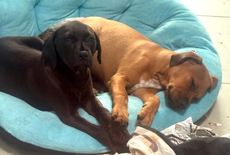 multimedia-foto93653-696-1