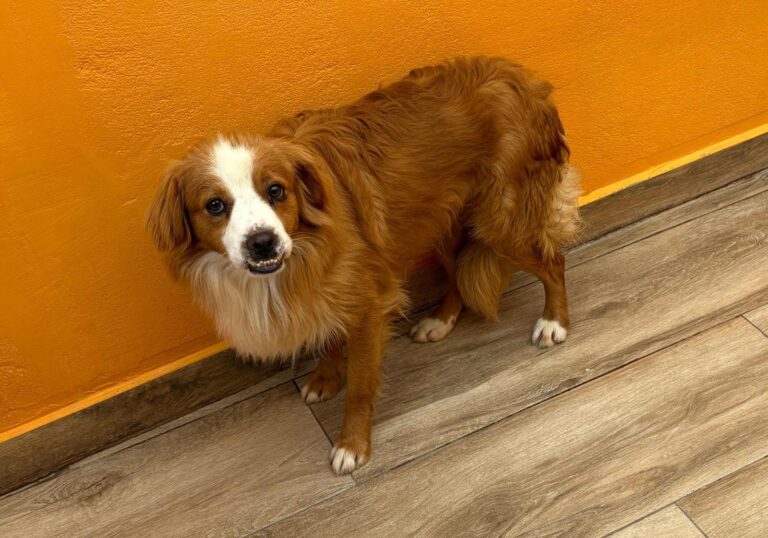 multimedia-foto93678-729-1