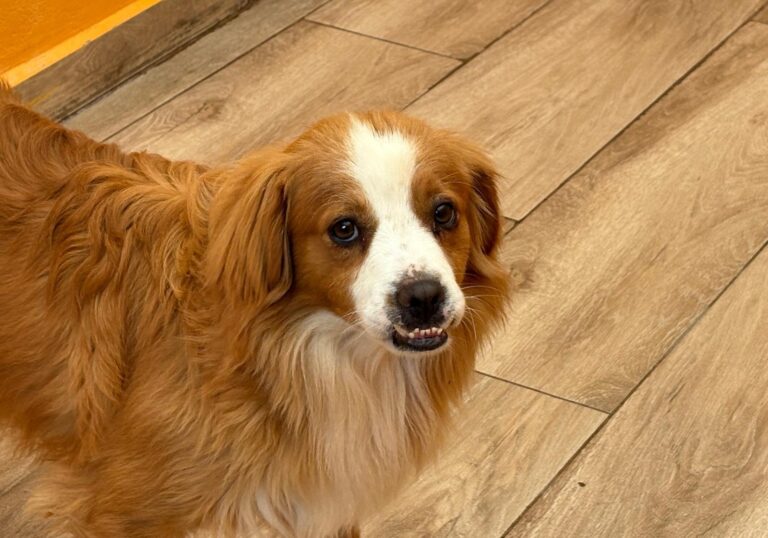 multimedia-foto93683-731-1