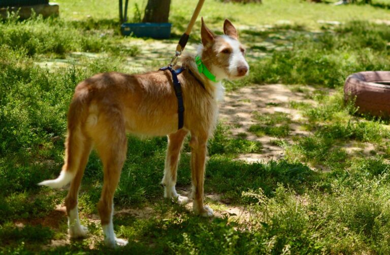 multimedia-foto93702-22-1