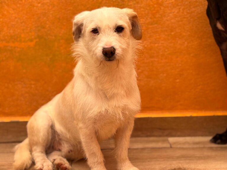 multimedia-foto93712-893-1