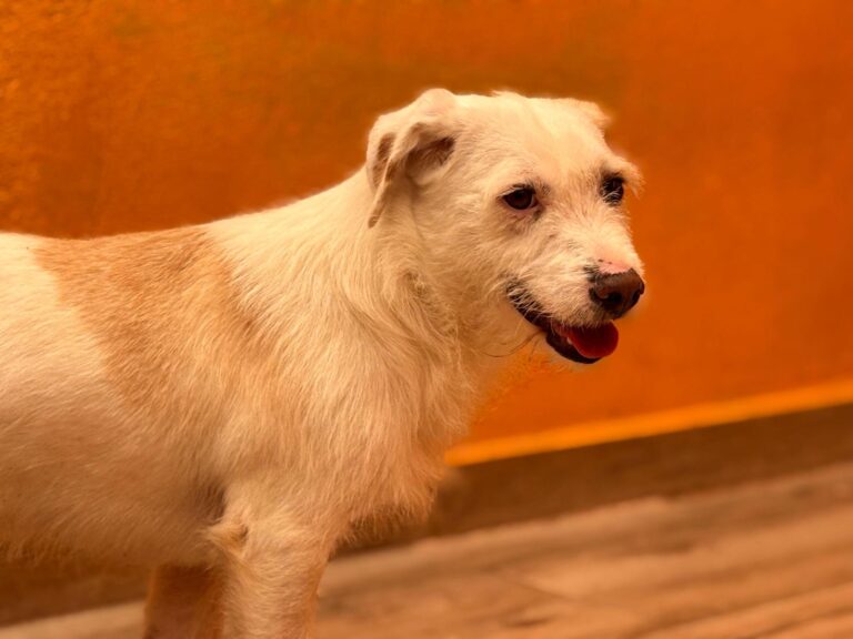 multimedia-foto93714-893-1