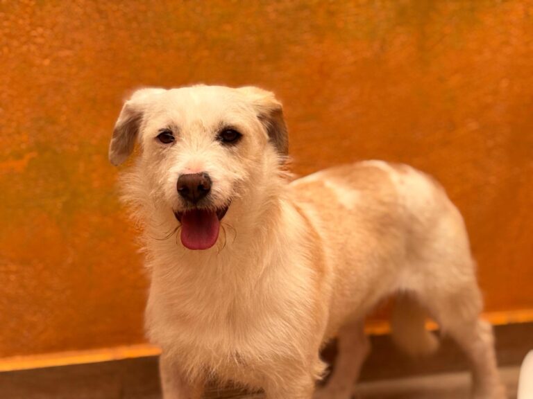 multimedia-foto93715-893-1