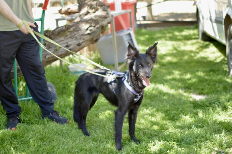 multimedia-foto93720-23-1