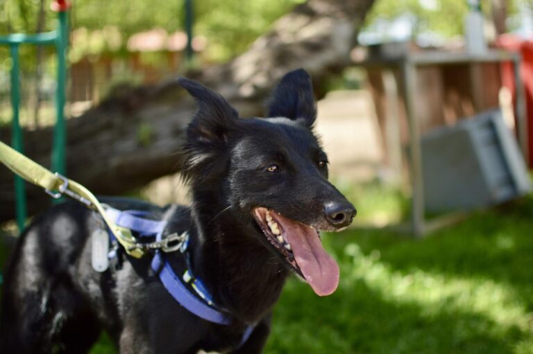 multimedia-foto93721-23-1