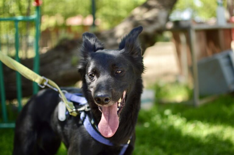 multimedia-foto93722-23-1