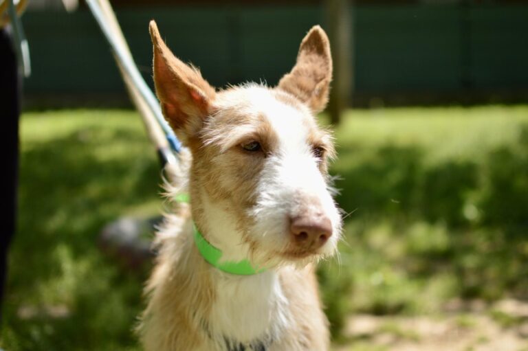 multimedia-foto93724-77-1