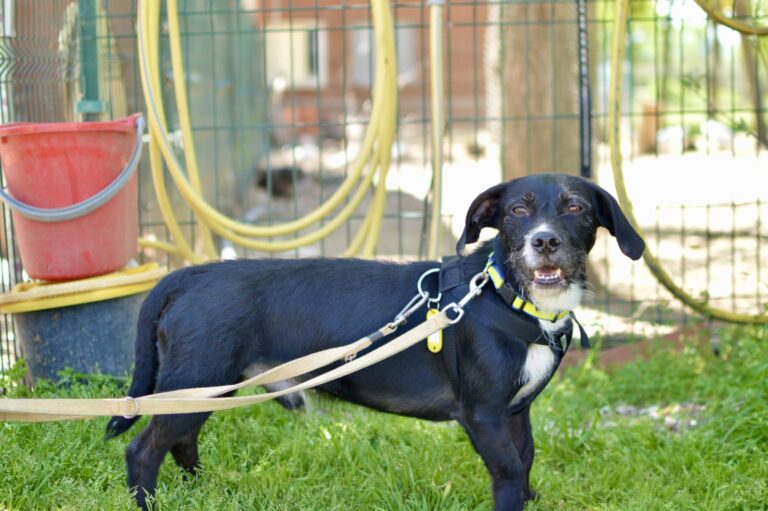 multimedia-foto93727-167-1