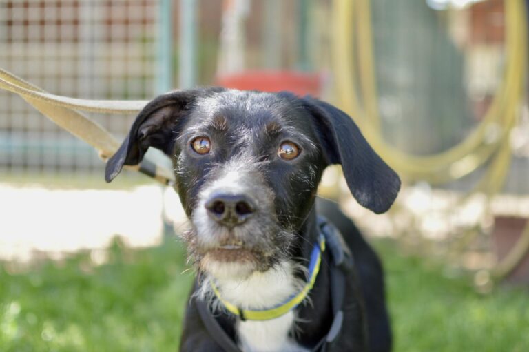 multimedia-foto93728-167-1