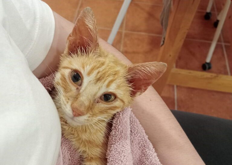 multimedia-foto93741-779-1