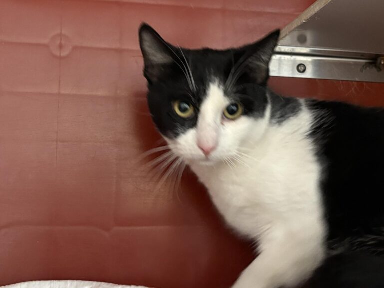 multimedia-foto93755-213-1