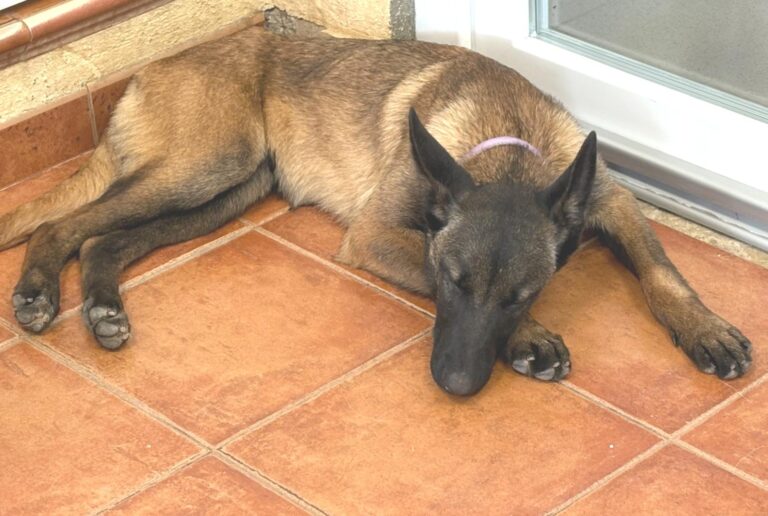 multimedia-foto93765-344-1