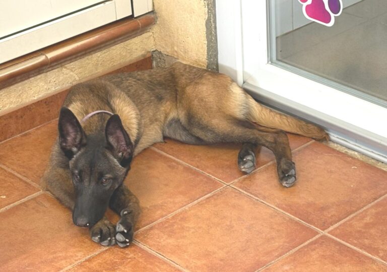 multimedia-foto93766-345-1