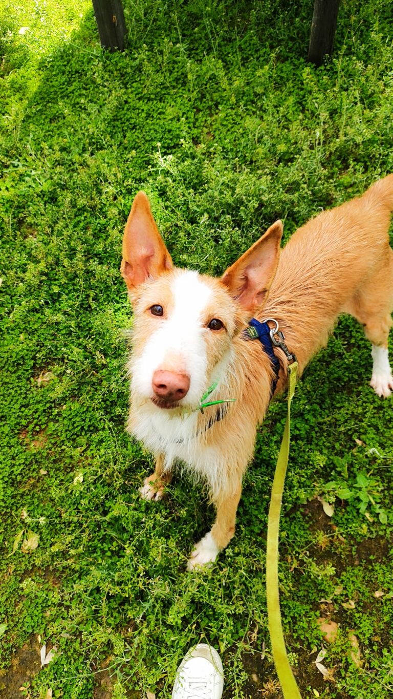 multimedia-foto93770-872-1