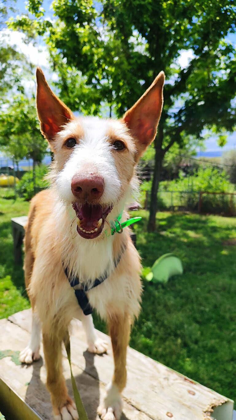 multimedia-foto93771-873-1