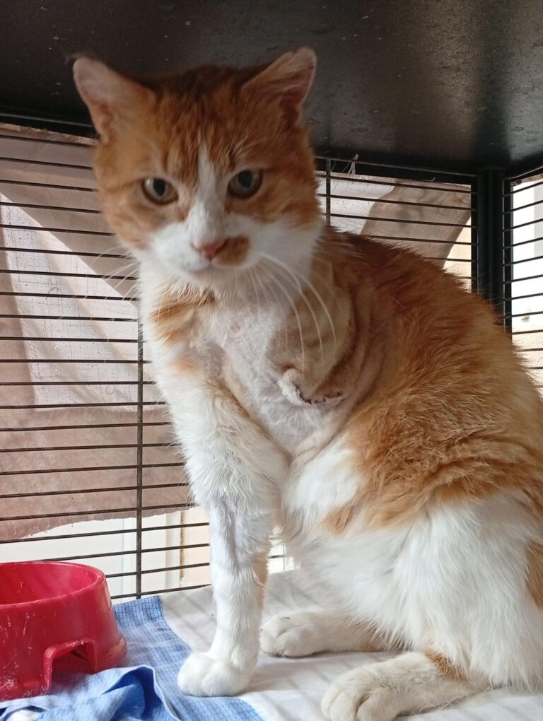 multimedia-foto93776-718-1