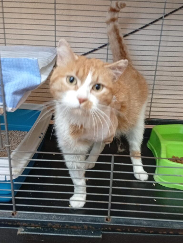 multimedia-foto93777-718-1