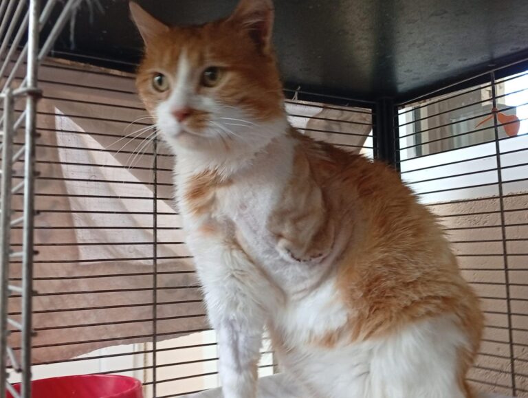 multimedia-foto93778-719-1