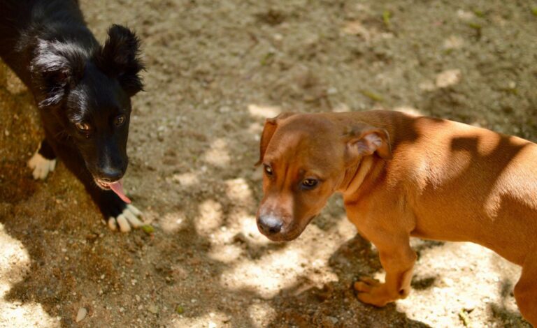 multimedia-foto93790-134-1