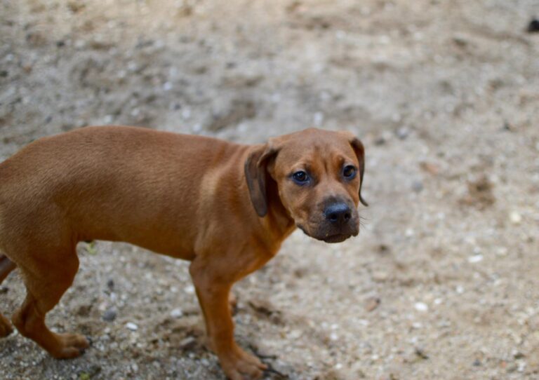 multimedia-foto93792-135-1