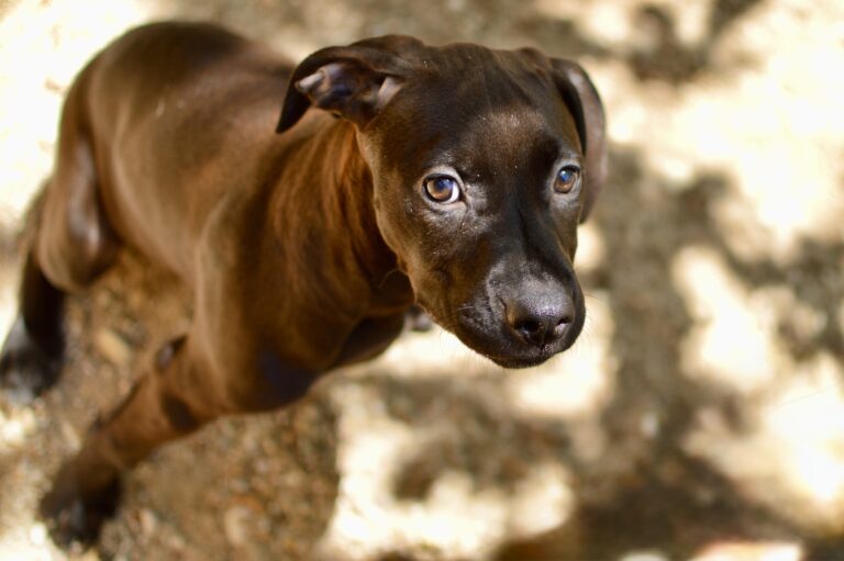 multimedia-foto93799-312-1