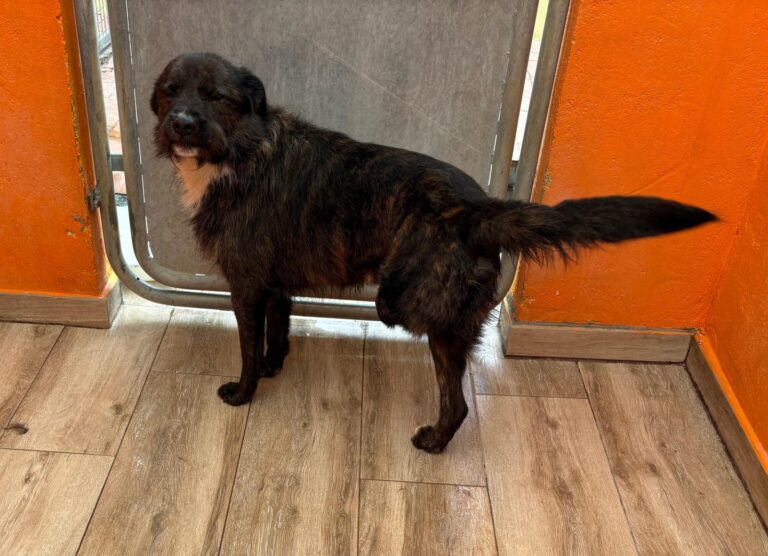 multimedia-foto93802-188-1