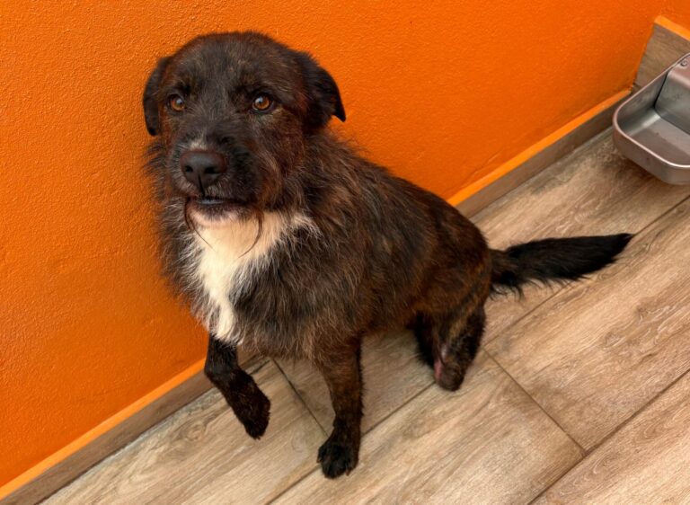 multimedia-foto93803-189-1