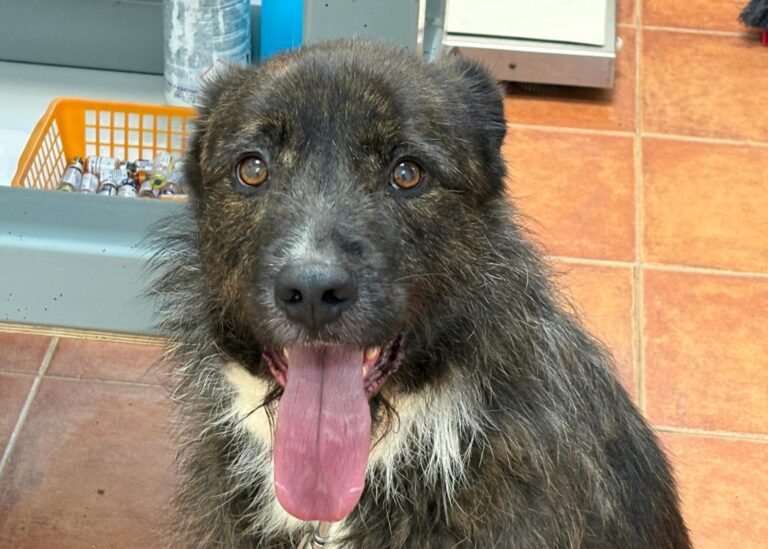 multimedia-foto93804-189-1