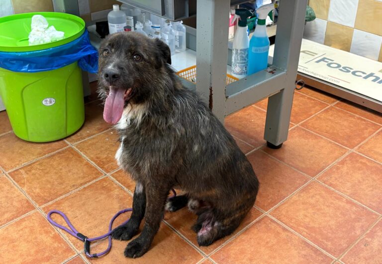 multimedia-foto93805-189-1