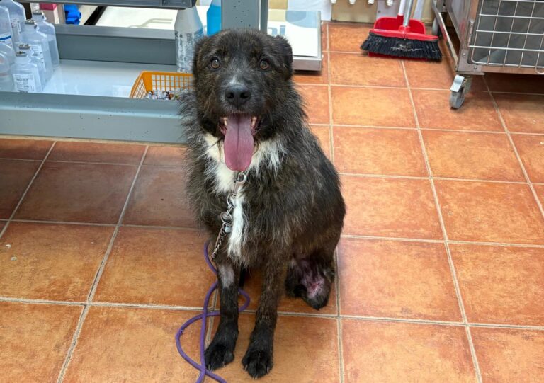 multimedia-foto93806-189-1