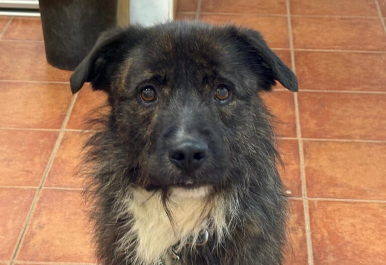 multimedia-foto93807-190-1