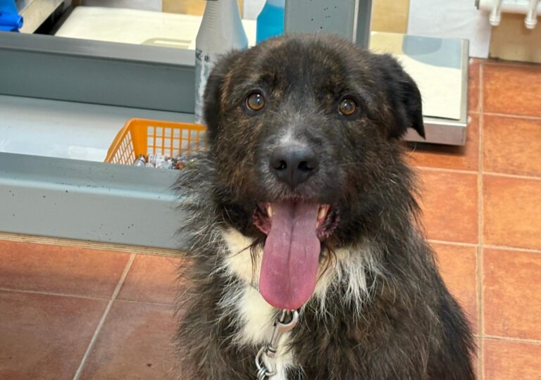 multimedia-foto93808-190-1