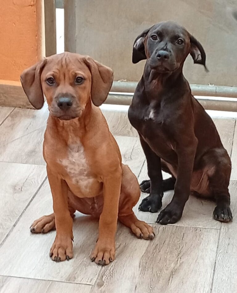 multimedia-foto93821-25-1