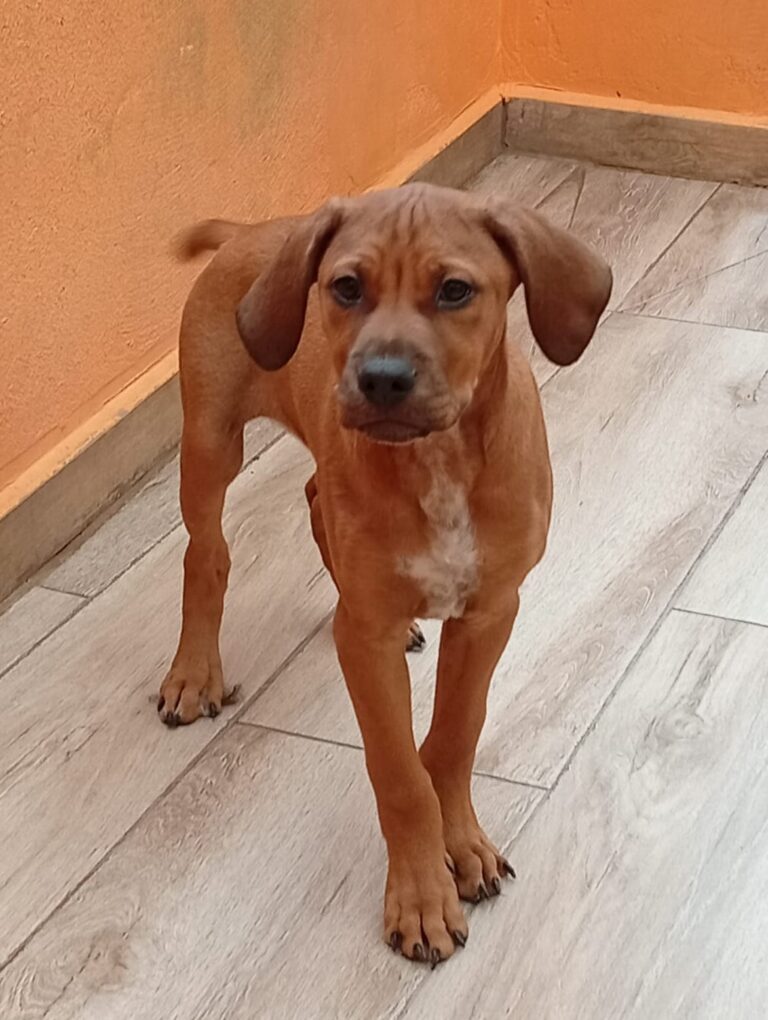 multimedia-foto93822-26-1