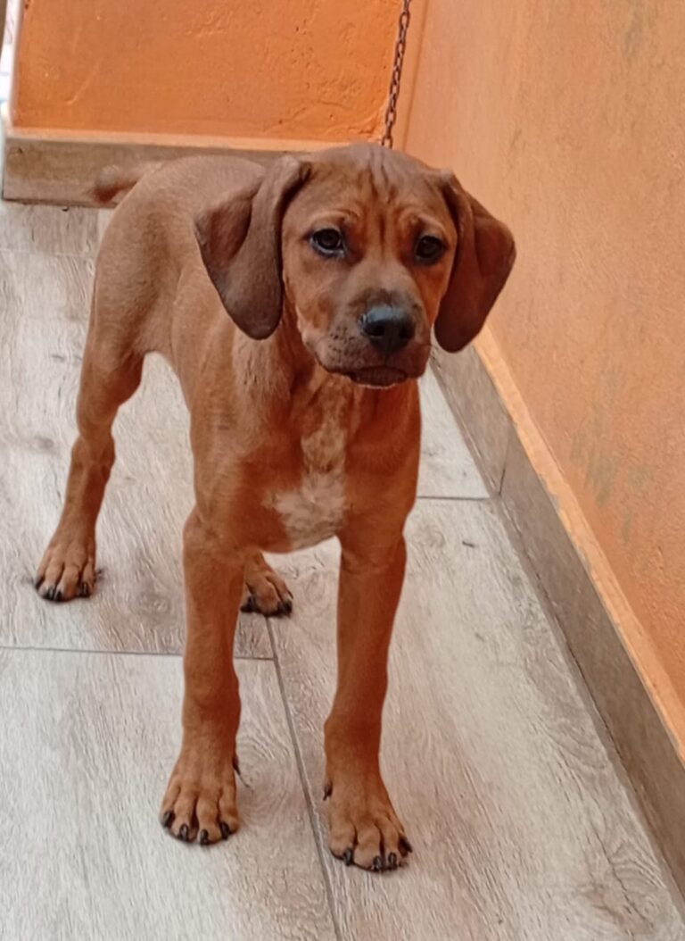 multimedia-foto93824-26-1