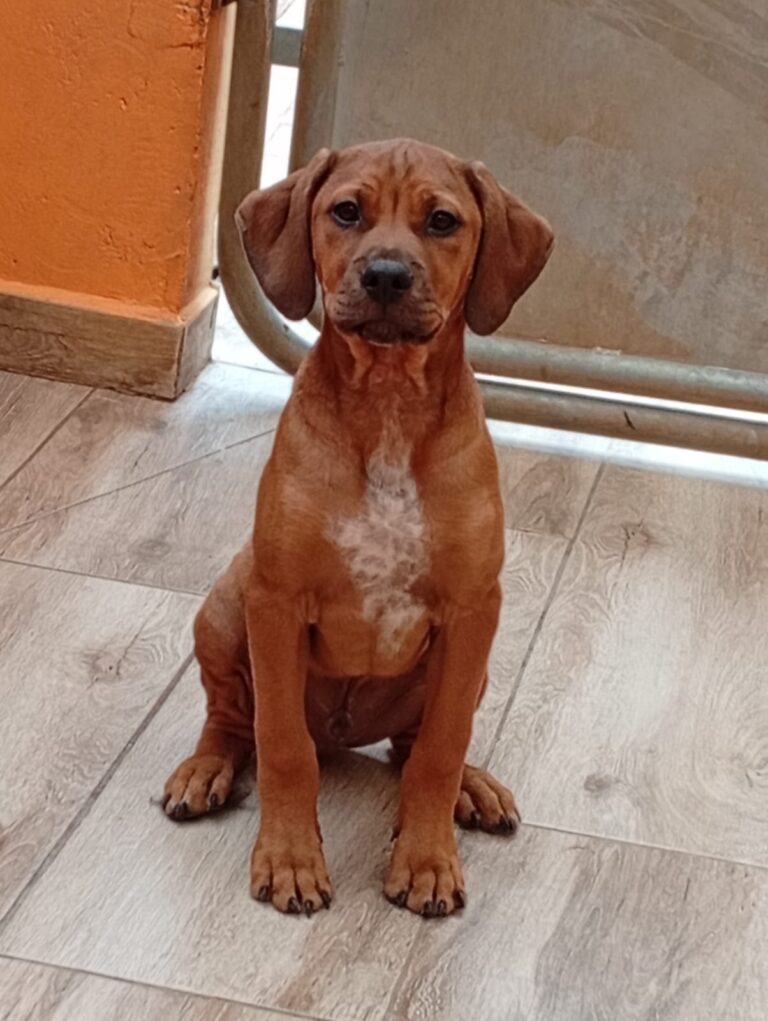 multimedia-foto93825-26-1