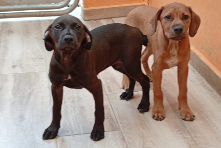 multimedia-foto93827-93-1