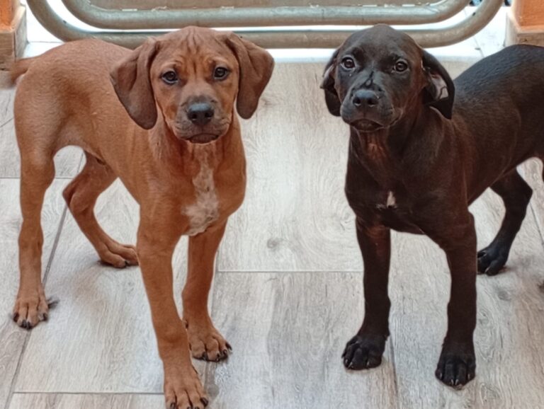 multimedia-foto93828-94-1