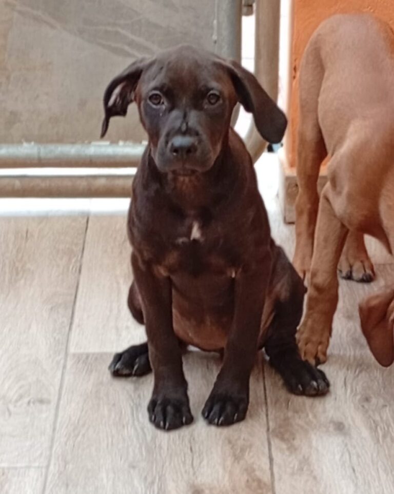 multimedia-foto93830-94-1