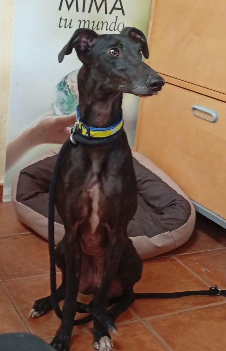 multimedia-foto93831-42-1