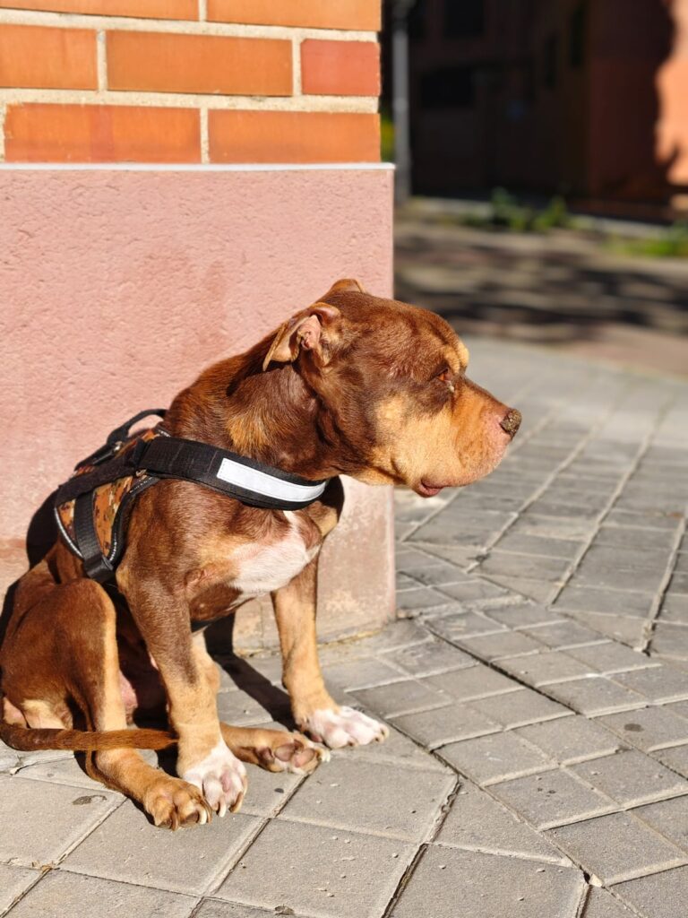 multimedia-foto93843-787-1