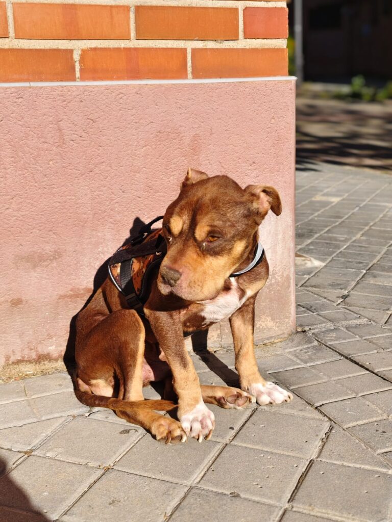 multimedia-foto93844-788-1