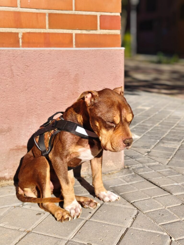 multimedia-foto93845-788-1