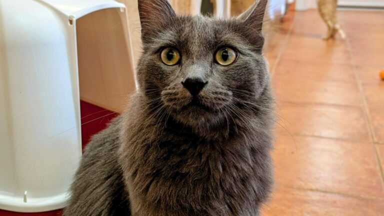 multimedia-foto93853-159-1