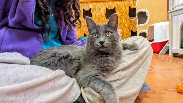 multimedia-foto93854-159-1