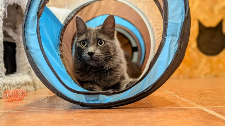 multimedia-foto93855-159-1