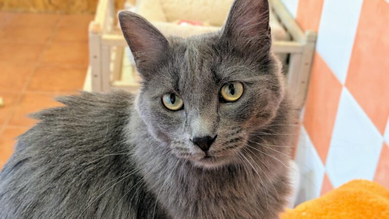 multimedia-foto93856-160-1